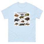 Freshwater Turtles of North America - Men's classic tee - Image 10