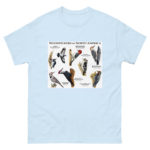 Woodpeckers of North America - Men's classic tee - Image 10