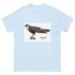 Aplomado Falcon - Men's classic tee - Image 10