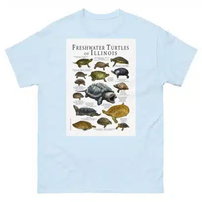 Freshwater Turtles of Illinois - Men's classic tee - Image 10