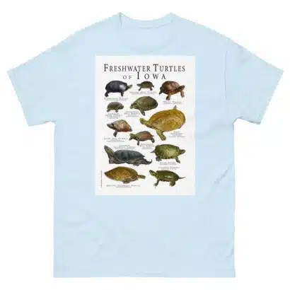 Freshwater Turtles of Iowa - Men's classic tee - Image 10