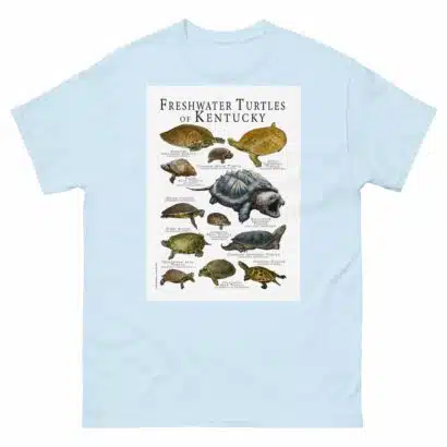 Freshwater Turtles of Kentucky - Men's classic tee - Image 10