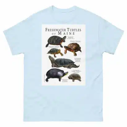 Freshwater Turtles of Maine - Men's classic tee - Image 10