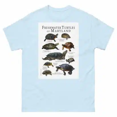 Freshwater Turtles of Maryland - Men's classic tee - Image 10