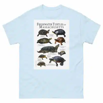 Freshwater Turtles of Massachusetts - Men's classic tee - Image 10