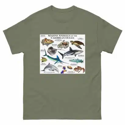 Marine Animals of the Caribbean - Men's classic tee - Image 5