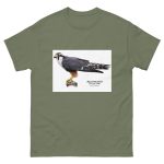 Aplomado Falcon - Men's classic tee - Image 5