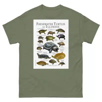 Freshwater Turtles of Illinois - Men's classic tee - Image 5