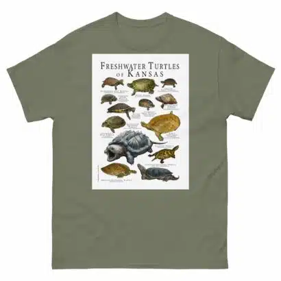 Freshwaters Turtles of Kansas - Men's classic tee - Image 5