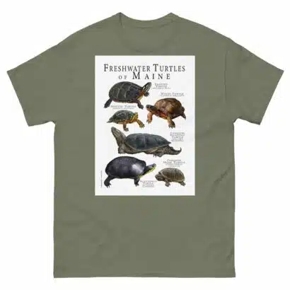 Freshwater Turtles of Maine - Men's classic tee - Image 5