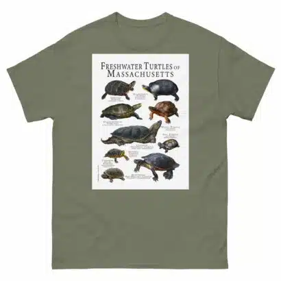 Freshwater Turtles of Massachusetts - Men's classic tee - Image 5