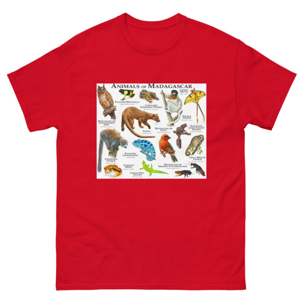 Animals of Madagascar - Men's classic tee - Image 3