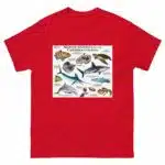 Marine Animals of the Caribbean - Men's classic tee - Image 3