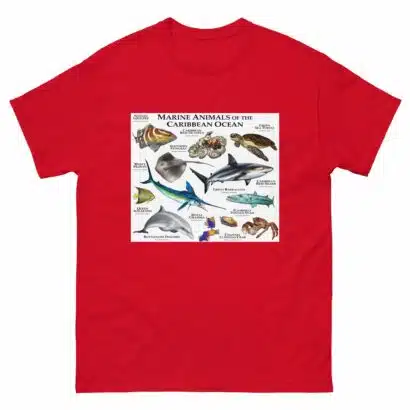 Marine Animals of the Caribbean - Men's classic tee - Image 3