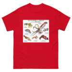 Cuttlefish and Squid of the World - Men's classic tee - Image 3