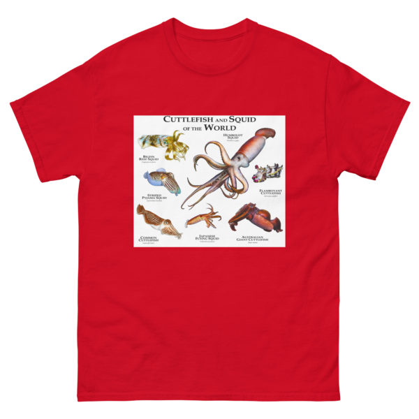 Cuttlefish and Squid of the World - Men's classic tee - Image 3