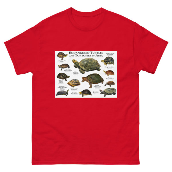 Endangered Turtles and Tortoises of Asia - Men's classic tee - Image 3