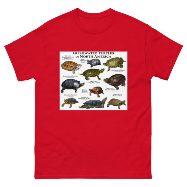 Freshwater Turtles of North America - Men's classic tee - Image 3