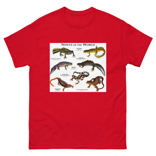 Newts of the World - Men's classic tee - Image 3