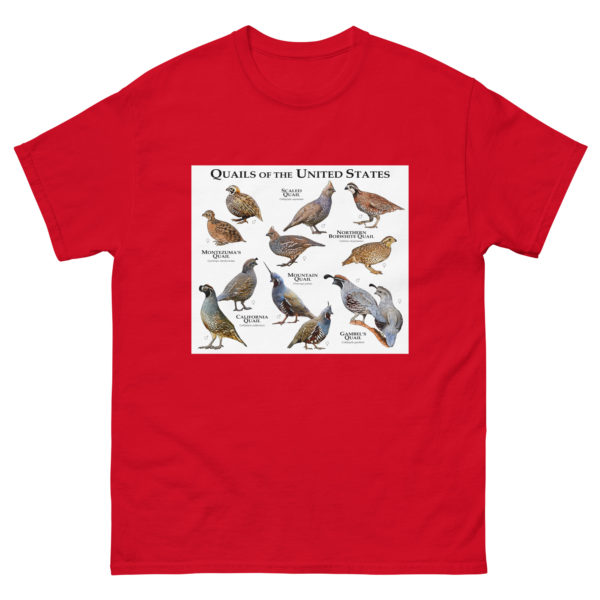 Quail of the United States - Men's classic tee - Image 3