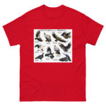 Vultures of the World - Men's classic tee - Image 3