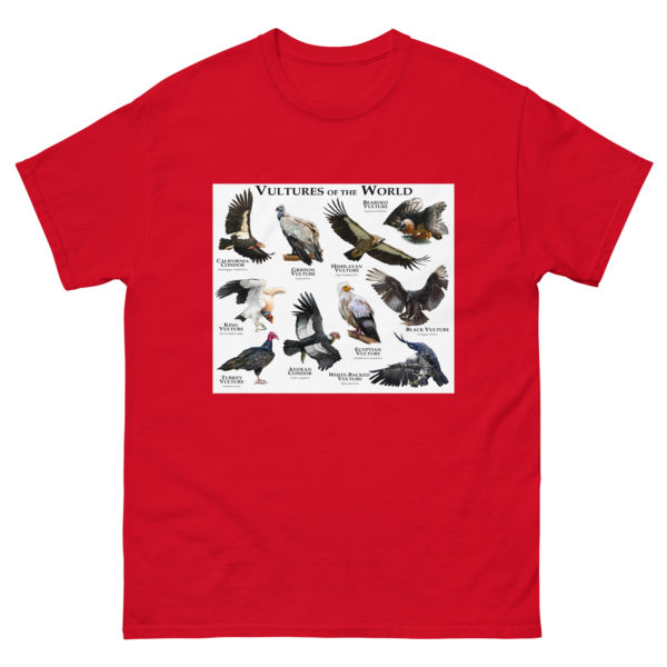 Vultures of the World - Men's classic tee - Image 3