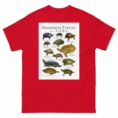 Freshwater Turtles of Iowa - Men's classic tee - Image 3