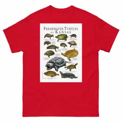 Freshwaters Turtles of Kansas - Men's classic tee - Image 3