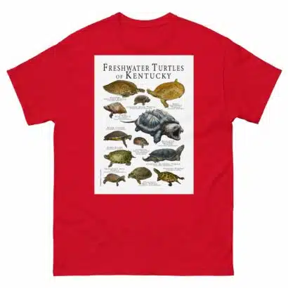 Freshwater Turtles of Kentucky - Men's classic tee - Image 3