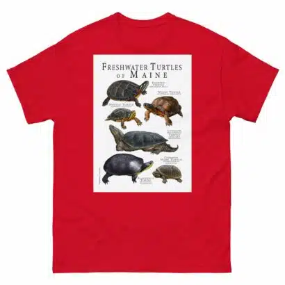 Freshwater Turtles of Maine - Men's classic tee - Image 3