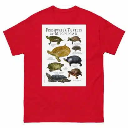 Freshwater Turtles of Michigan - Men's classic tee - Image 3