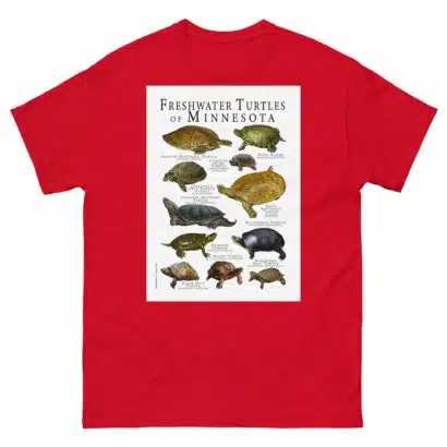 Freshwater Turtles of Minnesota - Men's classic tee - Image 3