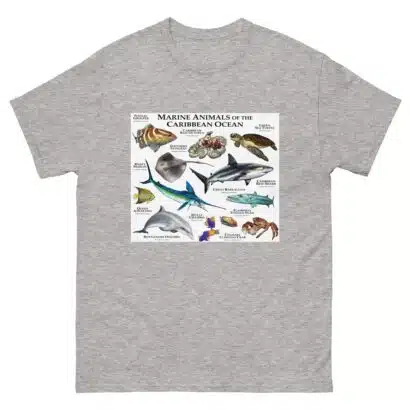 Marine Animals of the Caribbean - Men's classic tee - Image 9