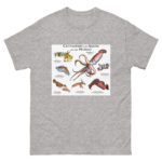 Cuttlefish and Squid of the World - Men's classic tee - Image 9