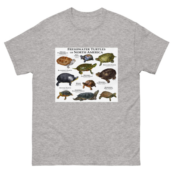 Freshwater Turtles of North America - Men's classic tee - Image 9
