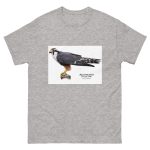 Aplomado Falcon - Men's classic tee - Image 9