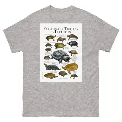 Freshwater Turtles of Illinois - Men's classic tee - Image 9