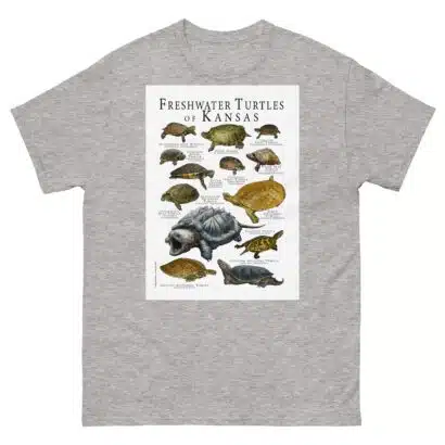 Freshwaters Turtles of Kansas - Men's classic tee - Image 9