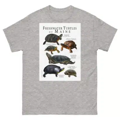 Freshwater Turtles of Maine - Men's classic tee - Image 9