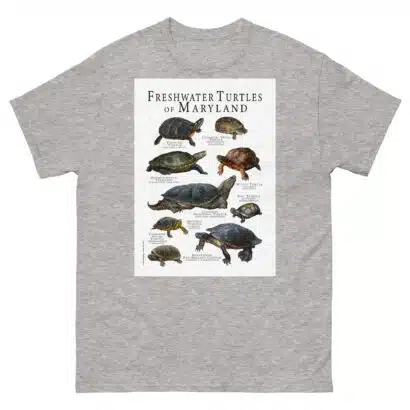Freshwater Turtles of Maryland - Men's classic tee - Image 9