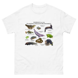 Animals of the Flooded Amazon Rainforest