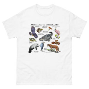 Animals of the Florida Everglades