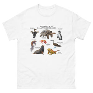 Animals of the Galapagos Islands