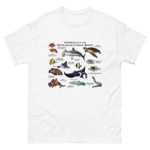 Animals of the Hawaiian Coral Reef