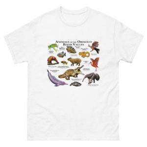 Animals of the Orinoco River Valley