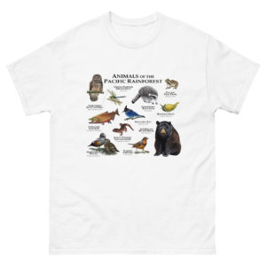 Animals of the Pacific Rainforest