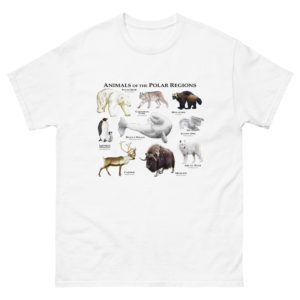 Animals of the Polar Regions