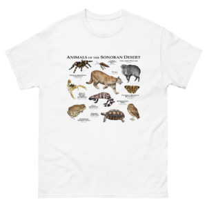 Animals of the Sonoran Desert