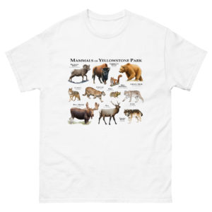 Mammals of Yellowstone National Park tshirt