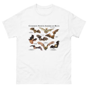 Common Bats of North America t-shirt